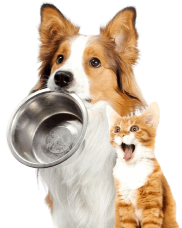 Dinovite Pet Supplements 21